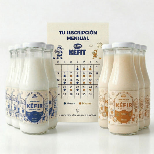 Club Kéfir Mensual — 30 botellas de 250ml de kéfir natural
